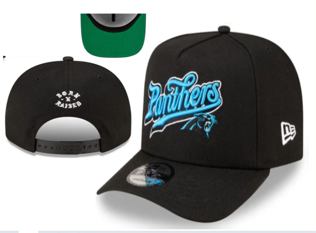 2026 NFL Carolina Panthers Hat style YS01->->Sports Caps